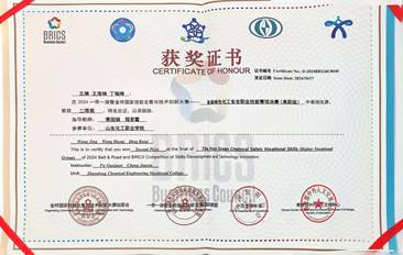 一带一路绿色化工安全技术-王婧王浩琦丁瑞奇